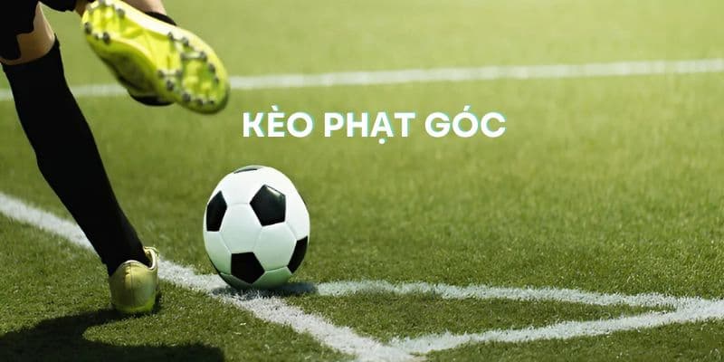 Thông tin cơ bản về kèo phạt góc trực tuyến